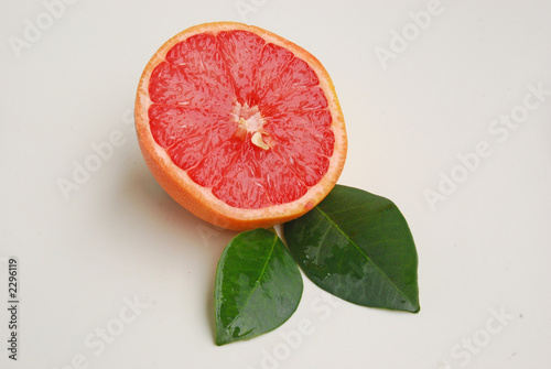 grapefruit