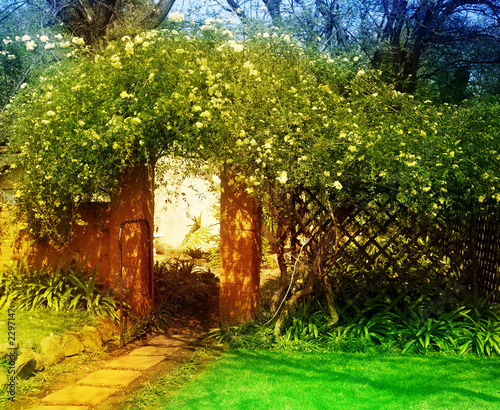 enchanted garden #2297147