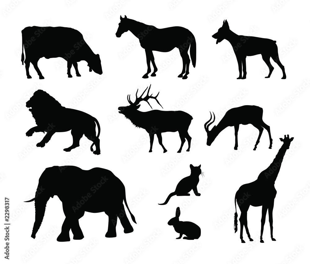 animali silhouette