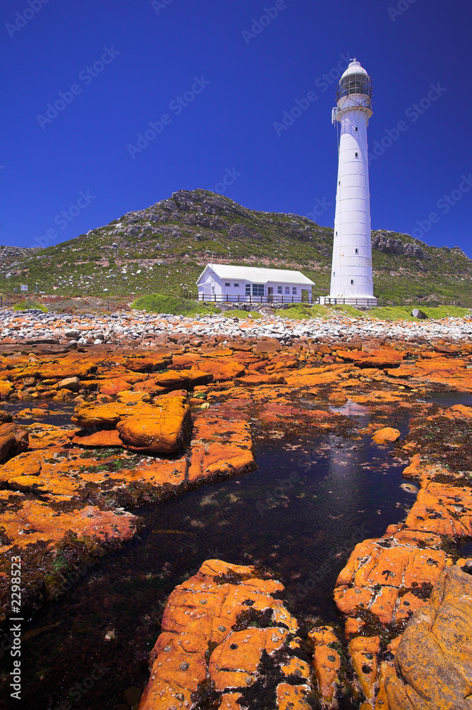 Obraz premium lighthouse #5