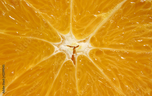 navel orange