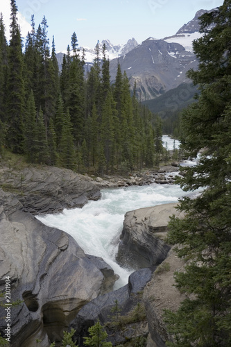 mistaya river in the rockies photo