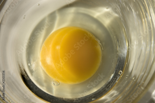 egg yolk