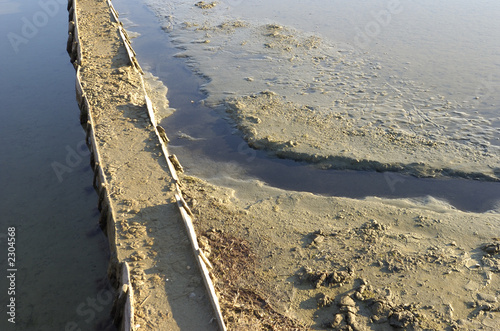 saltpan photo