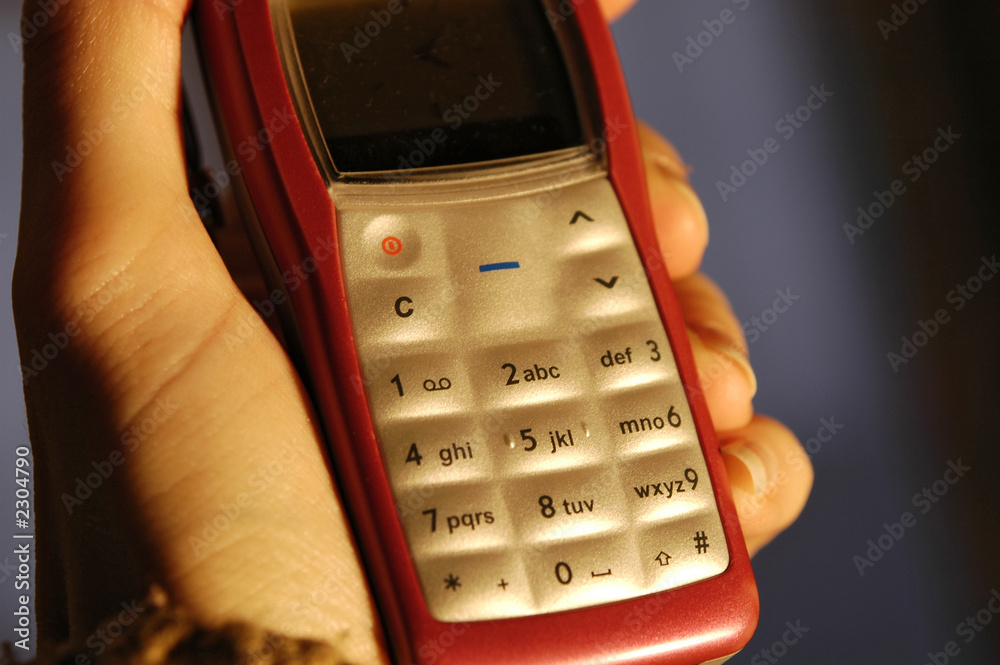 Obraz premium hand holding mobile phone