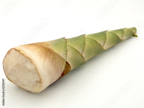 bambus sprossen gem  se