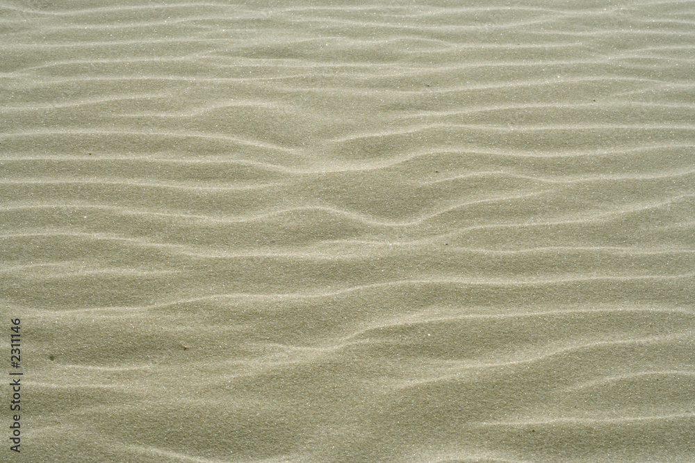 texture of the sand dunes for cover texture of the sand dunes for cover