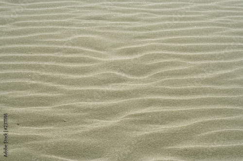 Fototapeta Naklejka Na Ścianę i Meble -  texture of the sand dunes for cover