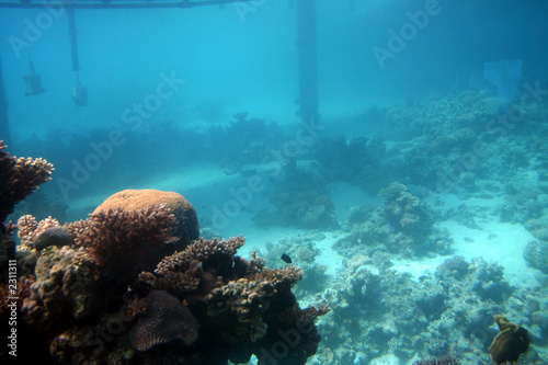 eilat undersea sail photo