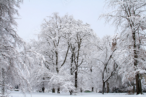 snow scene