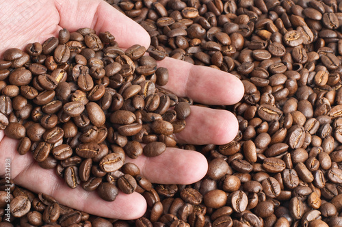 palm with coffee beans