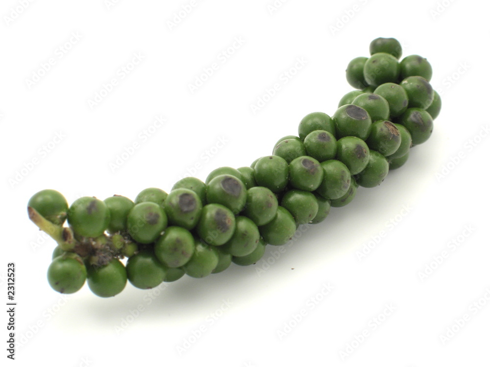 grüner pfeffer grüner pfeffer