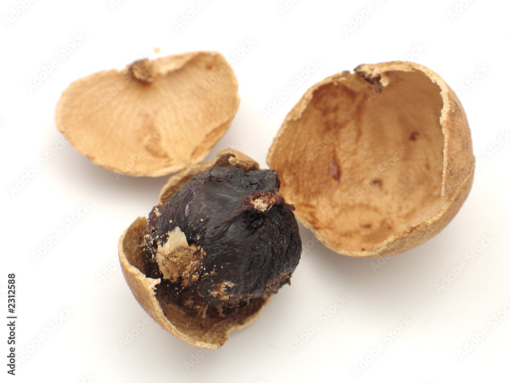getrocknete longan frucht getrocknete longan frucht