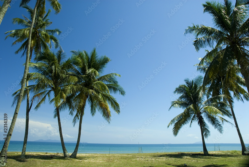 sunny tropical beach