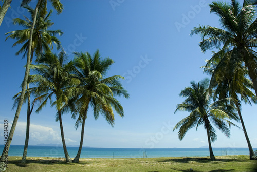 sunny tropical beach