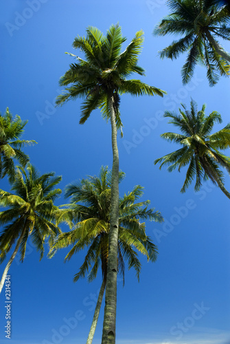 Fototapeta Naklejka Na Ścianę i Meble -  sunny tropical beach