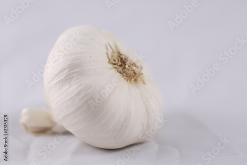 full view of garlic bottom