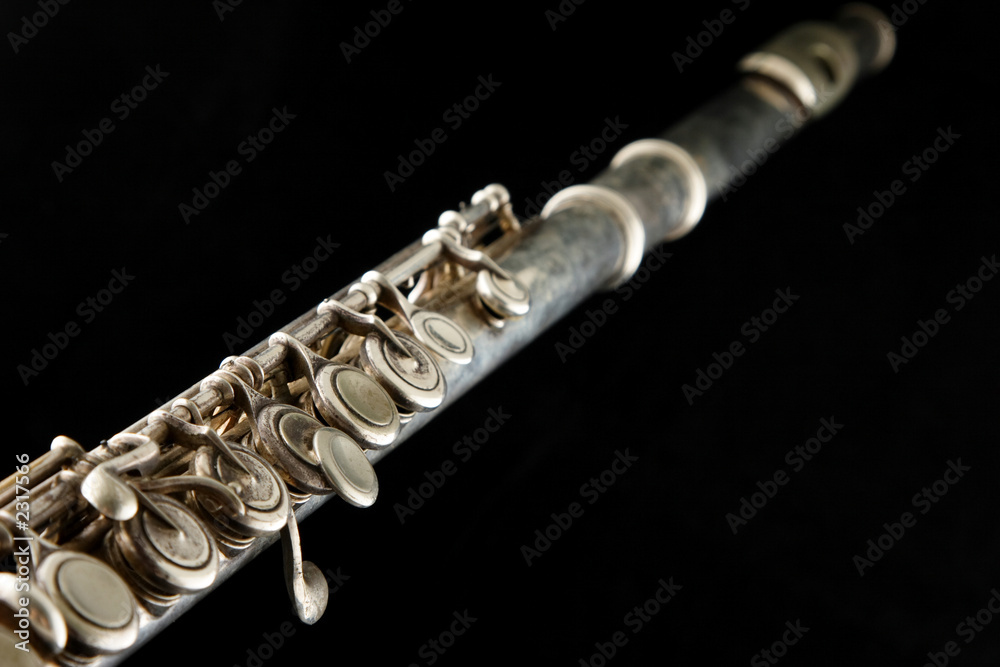 Fototapeta premium transverse flute