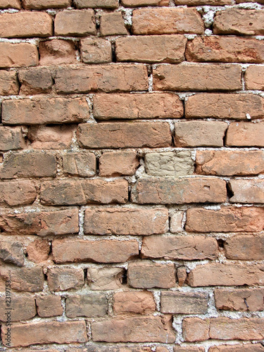 wall