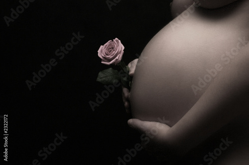 la femme enceinte 4. rose