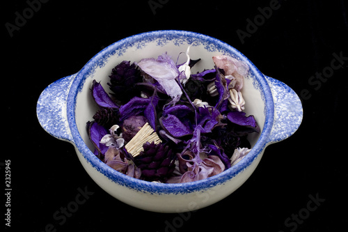 Photos purple potpourri