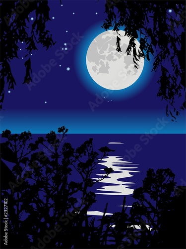 lunar path on lake at night.