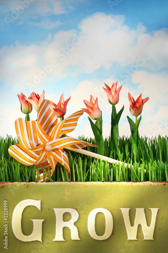 springtime fun
