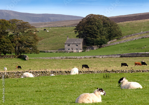 a farm in the dales