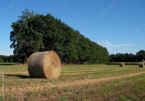 erntezeit