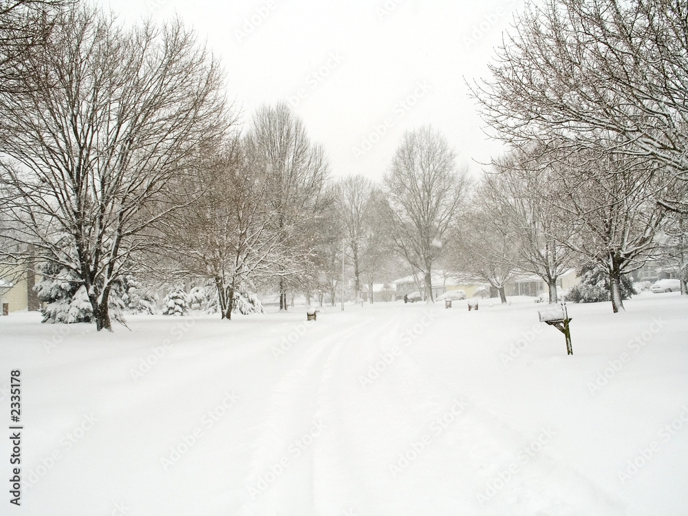 neighborhood snow