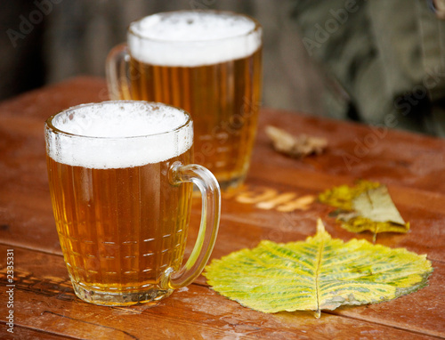 beer and leaf