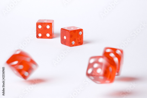 the gamble