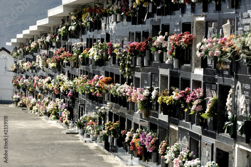 Wallpaper Mural cimetière Torontodigital.ca