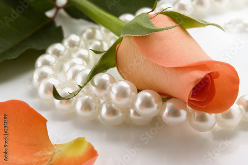 rose and pearl