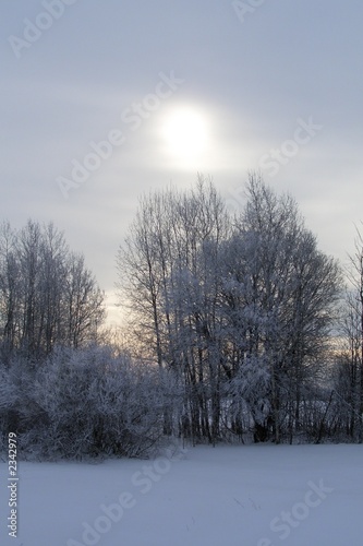 russian winter © Sergey Lisov