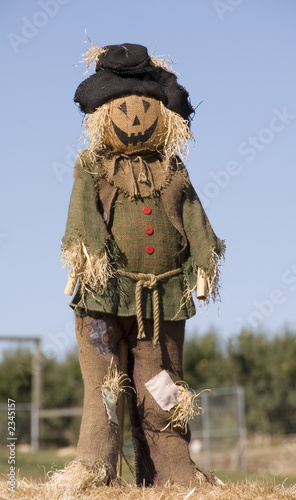 pumpkin scarecrow