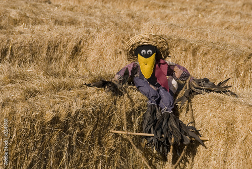 scarecrow