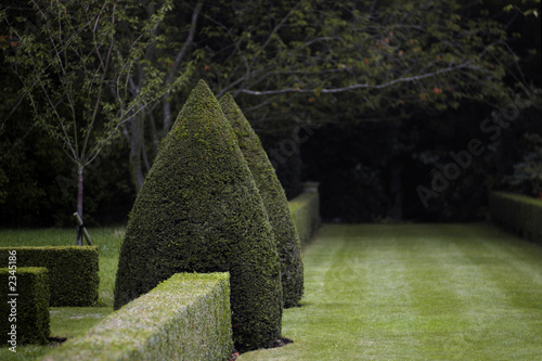 dark topiary garden