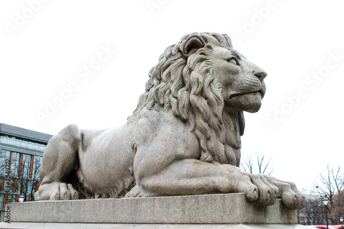 Fotografie lion statue