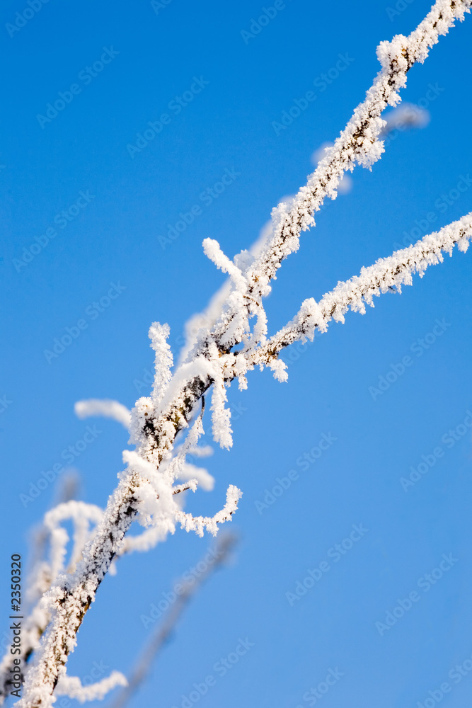 white on blue white on blue