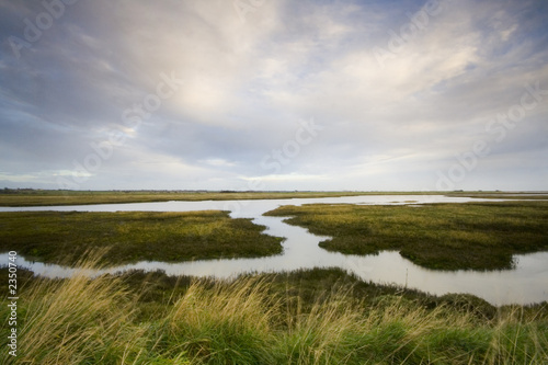 essex estuary