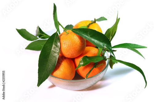 mandarins © Y. Papadimitriou