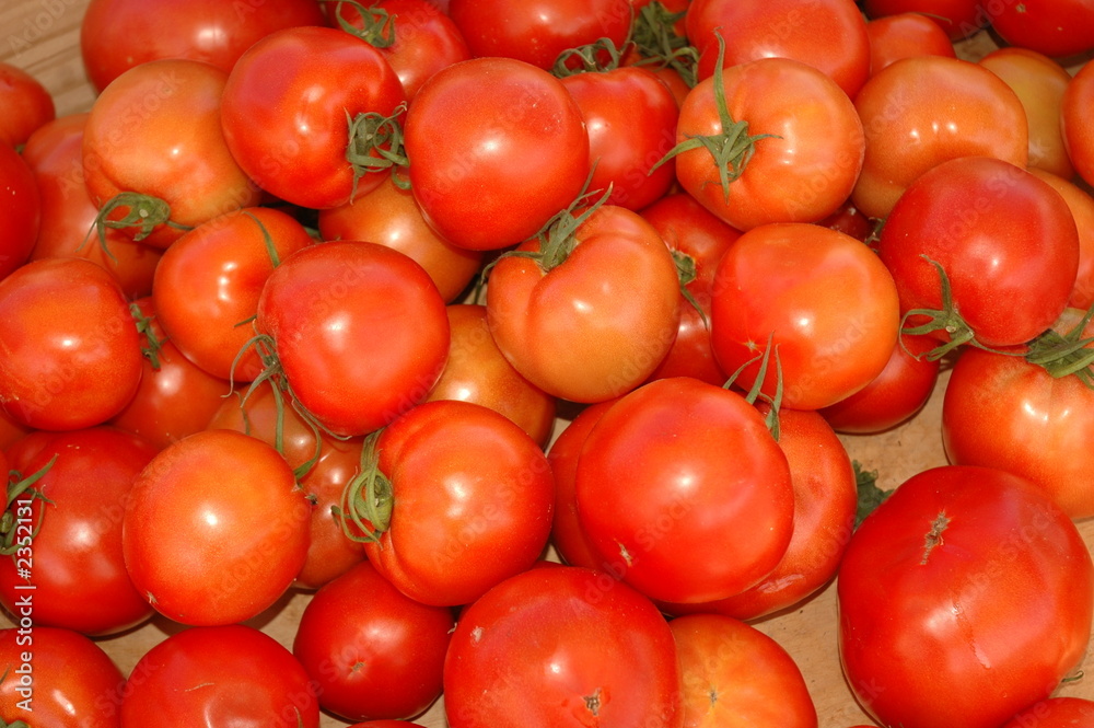 tomaten tomaten