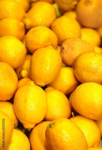 a group of lemons