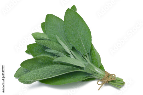 sage