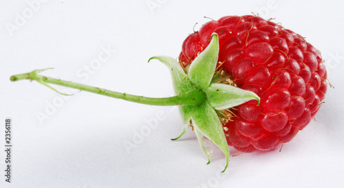 raspberry