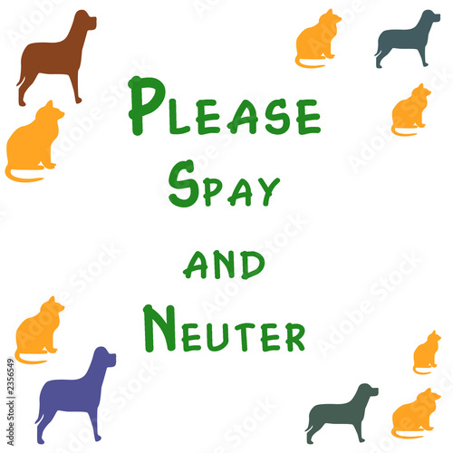 spay and neuter poster