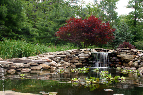 waterfall and pond