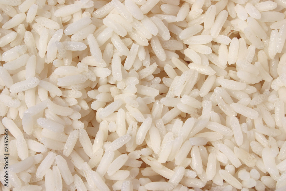 boiled rice boiled rice