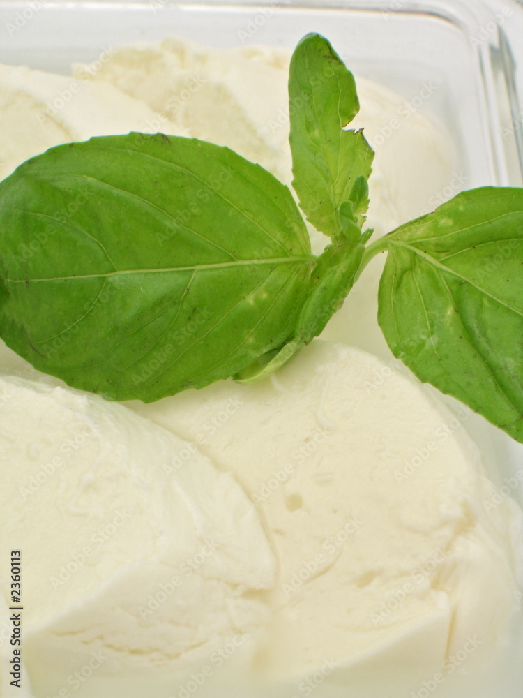 mozzarella käse nah aufnahme mozzarella käse nah aufnahme